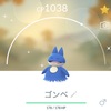 【ポケGO】2kmタマゴから色違いのゴンベをゲットだぜ！