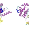 【酵素-ase】薬学部1回生で習ったヤヤコシイ酵素６つをまとめました！