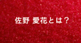 佐野愛花とは？プロフィール・出演まとめ