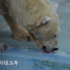 どんな味？