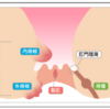 痔疾患の基礎と痔疾患治療薬「強力ポステリザン（軟膏）」