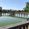【緊急解説】今池親水公園で起きた衝撃の連鎖事故、その真相と知られざる危険性
