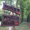 ●道南縦走湯旅3日目：『銀婚湯』→『盤石山荘』→濁川温泉『新栄館』→『二股らぢうむ温泉』