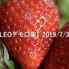 【SHONAN･LEOデモ口座】2019/7/30(火)の成績