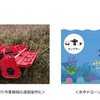 ドコモグループ3社、生物多様性への取組を事業と一体で進めるため「TNFDレポート」を公開