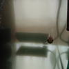 水換えして GEXヒーターを入れる