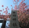 西野神社境内の春の景色（その１）