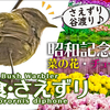 昭和記念公園で野鳥撮影。0414B【ウグイスの捕食と鳴き声】シロハラと四十雀に食べられる虫。ハシビロガモ、オカヨシガモ、カイツブリ。菜の花とチューリップ #身近な生き物語​　#昭和記念公園​　#ウグイス