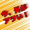 【観察日誌番外編】見たことないいつもの場所