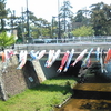 KOInoBORI