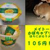 メイトーのかぼちゃプリン