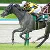 前回の勝ち馬は？