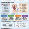 高尿酸血症と薬物治療