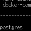 docker-composeで立てたPostgreSQLのVolume(保存先)をUSBメモリ(外部)にする＠RaspberryPi4(できなかったけど、、)