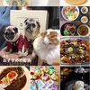 猫とじゃがいも