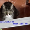 危うく初詣に行ってしまうところだった