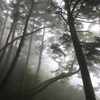 【登山】東京都の最高峰・雲取山（３）