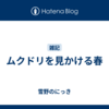 ムクドリを見かける春