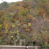 2019.11.03 鳴子峡の紅葉