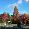 紅葉の時期＠熊本県