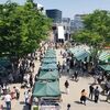 帰ってきたグリーンフェスティバル