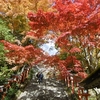 晩秋の鞍馬寺2