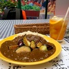 アッチャカーナ！二子玉川駅の隠れ家カレー店〜実家飯！レバニラ炒め、金のつぶ、かぼちゃスープ、おかん最強のからあげ、れんこん天、栗ごはん〜