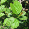 【登山】針ノ木岳・蓮華岳縦走