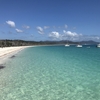 【豪ハミルトン島2泊3日】グレートバリアリーフに浮かぶハミルトン島に滞在してきました✨