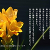 心の道しるべ（317）本当にやりたいこと