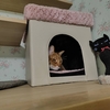 猫の気まぐれ：ペットハウスとキャットウォーク