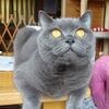 朝の大切なお仕事。