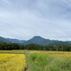 2023/09/02 土曜日　勝手に雲の観察会