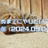 死ぬまでにやりたいこと100個（2024.09.04版）