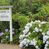 【千葉県夷隅郡】養老渓谷散策　その１