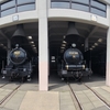 京都（京都鉄道博物館）⇒岡山（なぎビカリアミュージアム）⇒三田（ホタル観賞）⇒淡路島🏝️（ドルクスキングダム）灯火採集