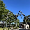 遠い街の公園