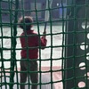 【家族のこと】息子、サンタさんから授かったバットを持ってバッティングセンターへ