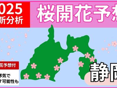 静岡県桜開花予想2025＆名所ガイド【中部・西部・東部】桜の開花日と満開予想
