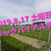 2019,8,17 土曜日 トラックバイアス予想 (新潟競馬場、小倉競馬場、札幌競馬場)