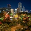紅葉が綺麗な相楽園で早めのクリスマスディナーをしてきたよ😆