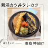 【万人受け間違いなし！】新潟カツ丼 タレカツ