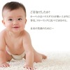  カーペットとダニ・ハウスダストの舞い上がりについて -【AGI カーペット専門誌】