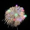 片貝花火の四尺玉！近所で眺められる幸せ