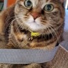 短時間でも心が満たされるように(^.^)