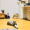 カメラ目線