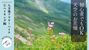 【山旅・鳥旅】天空のお花畑－白馬八方池フラワーハイク(2025年7月) | ①ハイキング編