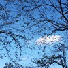 中学生、こんな日もある