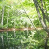 【あおもりめぐり】温泉と緑の旅①蔦温泉と蔦沼