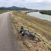 稲葉山に